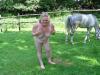 wo ist das pferd