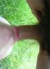tief rein 3