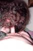 tante bei
