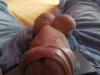 Meiner 2