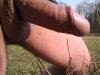 wald5 wald5