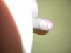 der geile Hengst