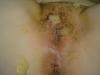 Geiles Luder 3