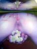 bild3